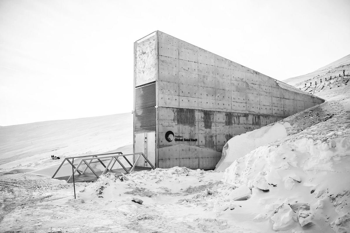 Seed storage in Arctic Island of Svalbard